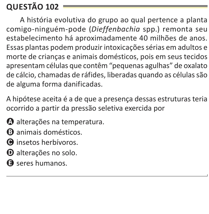 Questão 102 do ENEM 2025, aplicação de Belém, como saiu no caderno de prova