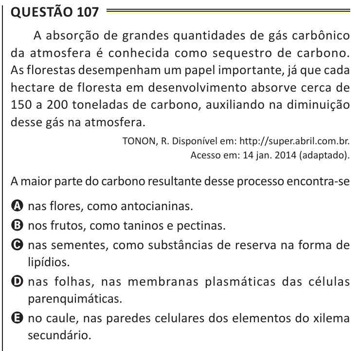 Questão 107 do ENEM 2025, aplicação de Belém, como saiu no caderno de prova