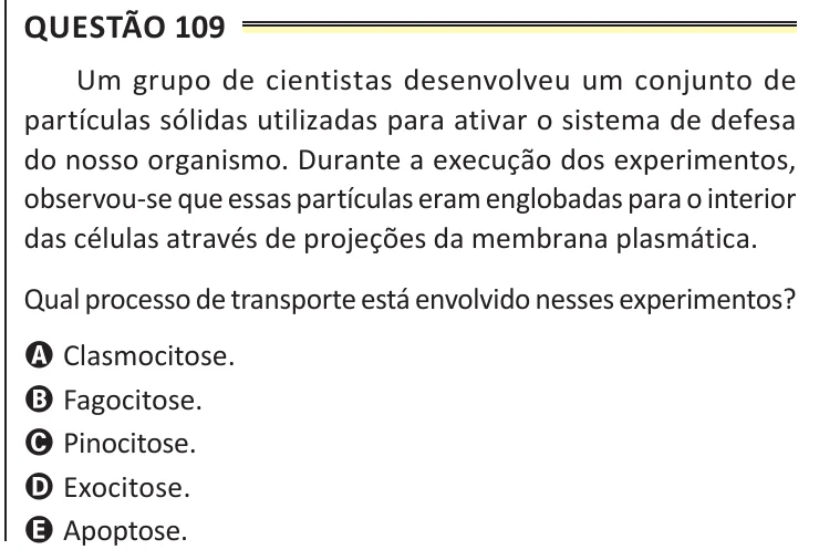 Questão 109 do ENEM 2025, aplicação de Belém, como saiu no caderno de prova