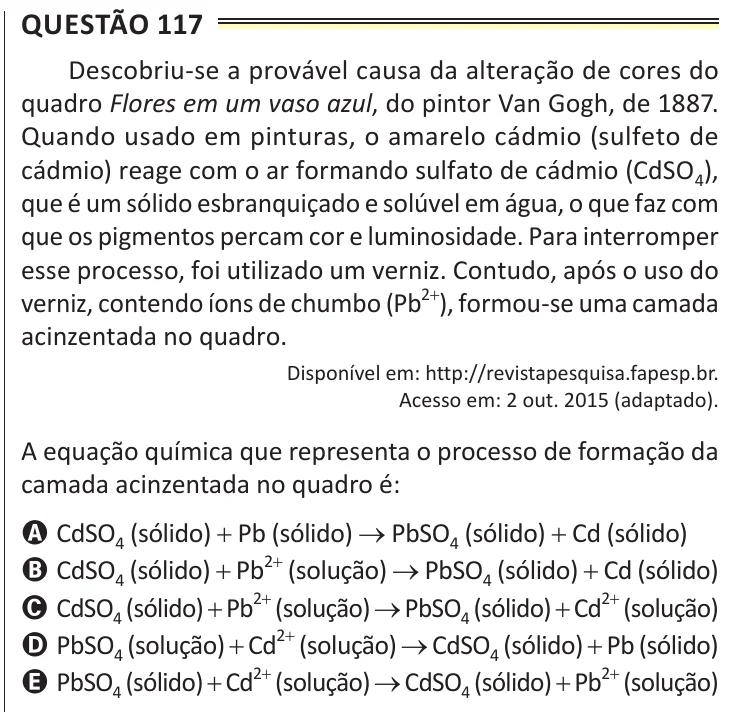 Questão 117 do ENEM 2025, aplicação de Belém, como saiu no caderno de prova