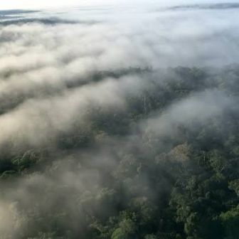 Os Rios Voadores: O Ciclo da Água na Amazônia e seu Impacto na Dispersão de Fumaça